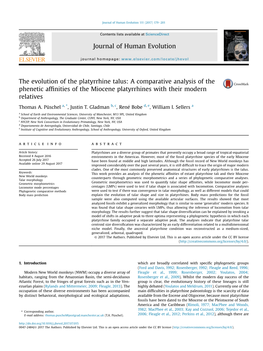 The Evolution of the Platyrrhine Talus: a Comparative Analysis of the Phenetic Afﬁnities of the Miocene Platyrrhines with Their Modern Relatives