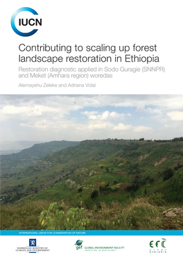 Contributing to Scaling up Forest Landscape Restoration in Ethiopia