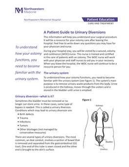 A Patient Guide to Urinary Diversions This Information Will Help You Understand Your Surgical Procedure