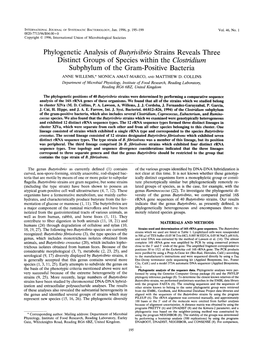 Phylogenetic Analysis of Butyrivibrio Strains Reveals Three Distinct Groups of Species Within the Clostvidium Subphylum of the Gram-Positive Bacteria