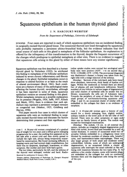 Squamous Epithelium in the Human Thyroid Gland