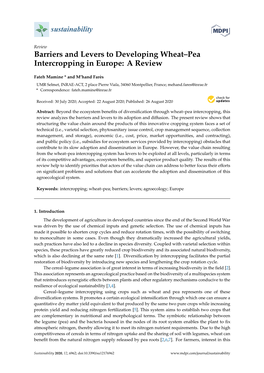 Barriers and Levers to Developing Wheat–Pea Intercropping in Europe: a Review