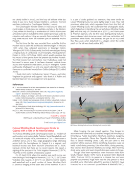 Fulvous Whistling Duck Dendrocygna Bicolor in Gujarat, with a Note on Its Historical Status While Foraging, the Pair Stayed Together