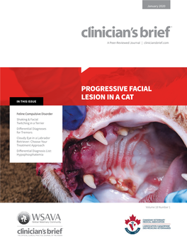 Progressive Facial Lesion in a Community Cat Sarah Steen, DVM Lisa M
