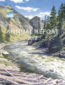 Annual Report 2018