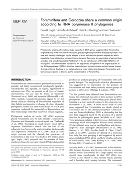 Foraminifera and Cercozoa Share a Common Origin According to RNA Polymerase II Phylogenies