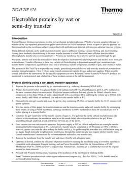 Electroblot Proteins by Wet Or Semi-Dry Transfer