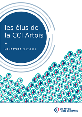 Les Élus De La CCI Artois - MANDATURE 2017-2021 - 60 Élus