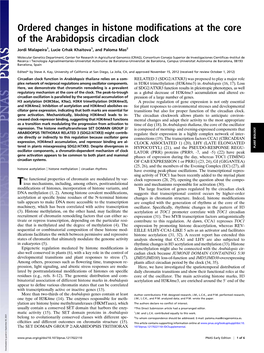 Ordered Changes in Histone Modifications at the Core of The