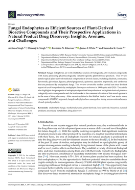 Fungal Endophytes As Efficient Sources of Plant-Derived Bioactive