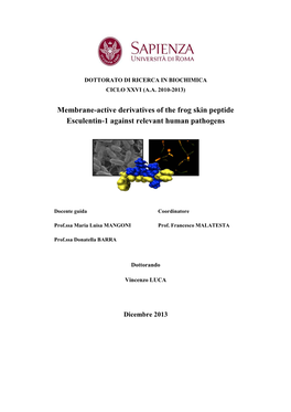 Membrane-Active Derivatives of the Frog Skin Peptide Esculentin-1 Against Relevant Human Pathogens