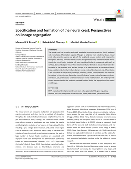 Specification and Formation of the Neural Crest: Perspectives on Lineage Segregation