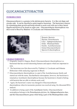 Glucanoacetobacter