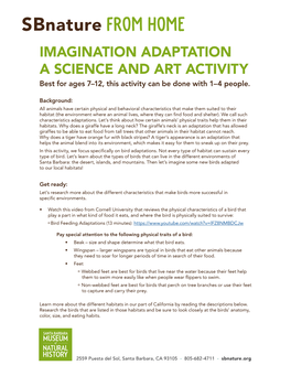 Sbnature from Home IMAGINATION ADAPTATION a SCIENCE and ART ACTIVITY Best for Ages 7–12, This Activity Can Be Done with 1–4 People