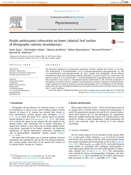 Purple Anthocyanin Colouration on Lower (Abaxial) Leaf Surface of Hemigraphis Colorata (Acanthaceae)