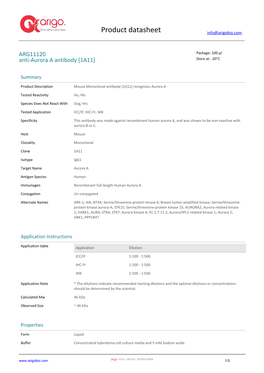 Anti-Aurora a Antibody [1A11] (ARG11120)