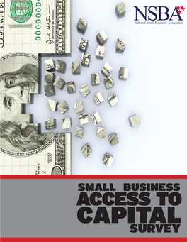 Small Business Access to Capital Survey Foreword