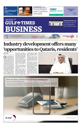 Industry Development Offers Many 'Opportunities to Qataris, Residents'