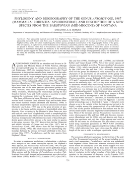 Phylogeny and Biogeography of The