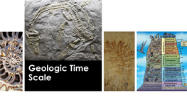 Geologic Time Scale Essential Questions: 1