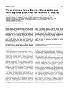 Emerin Loss in C. Elegans 925 Inhibitors), Resuspended in 25 Μl of 2× SDS Gel-Sample Buffer and Boiled for 5 Minutes