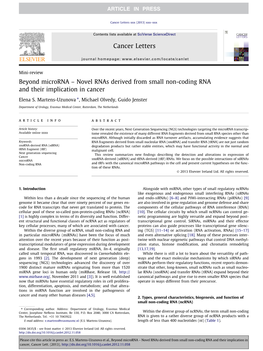 Beyond Microrna Â