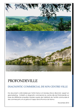 Diagnostic Commercial Profondeville 30112015