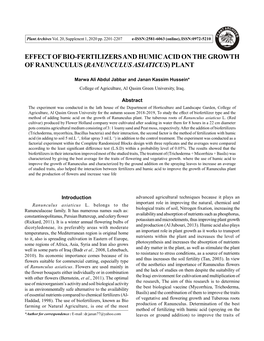 Effect of Bio-Fertilizers and Humic Acid on the Growth of Ranunculus (Ranunculus Asiaticus) Plant