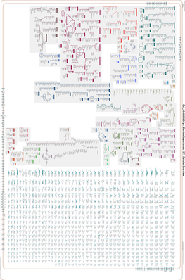 Generated by SRI International Pathway Tools Version 25.0, Authors S