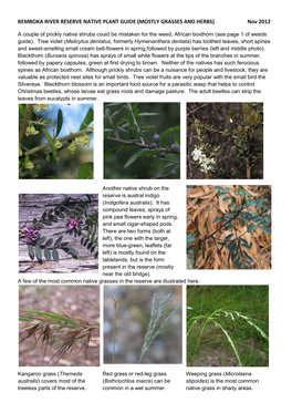 BEMBOKA RIVER RESERVE NATIVE PLANT GUIDE (MOSTLY GRASSES and HERBS) Nov 2012