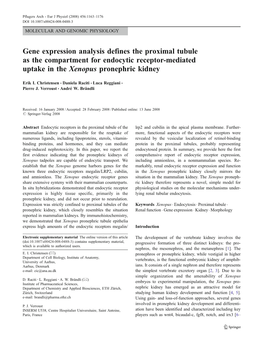 Gene Expression Analysis Defines the Proximal Tubule As the Compartment for Endocytic Receptor-Mediated Uptake in the Xenopus Pronephric Kidney