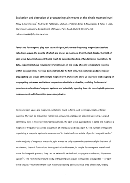 Excitation and Detection of Propagating Spin Waves at the Single Magnon Level