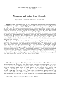 Madagascar and Indian Océan Sipuncula