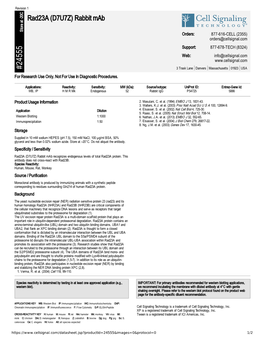 24555 Rad23a (D7U7Z) Rabbit Mab