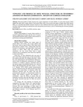 Typology and Profile of Spine Muscles. Structure of Myofibrils and Role of Protein Components – Review of Current Literature