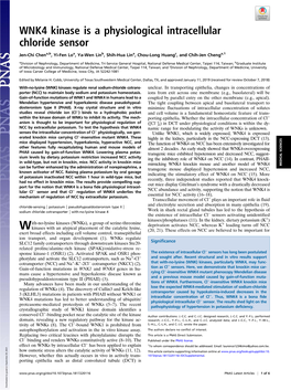 WNK4 Kinase Is a Physiological Intracellular Chloride Sensor