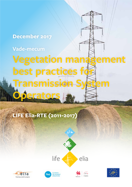 Vade-Mecum Best Practices for Transmission System