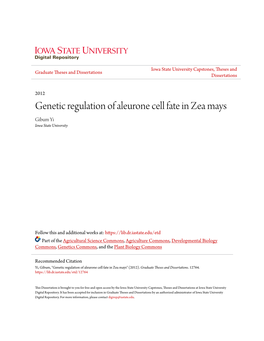 Genetic Regulation of Aleurone Cell Fate in Zea Mays Gibum Yi Iowa State University