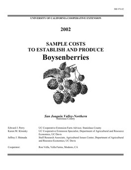 Boysenberries