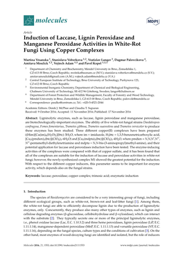 Induction of Laccase, Lignin Peroxidase and Manganese Peroxidase Activities in White-Rot Fungi Using Copper Complexes