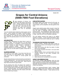 Grapes for Central Arizona (5000-7000 Foot Elevations)