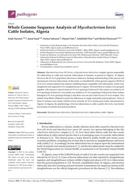 Whole Genome Sequence Analysis of Mycobacterium Bovis Cattle Isolates, Algeria