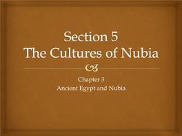 Section 5 the Cultures of Nubia