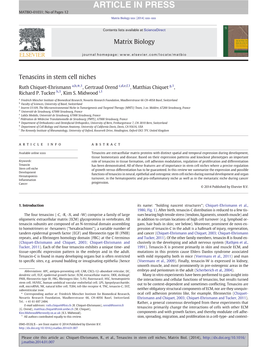 Tenascins in Stem Cell Niches