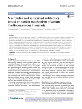 Macrolides and Associated Antibiotics Based on Similar Mechanism Of