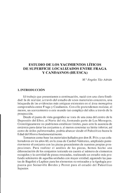 Estudio De Los Yacimientos Líticos De Superficie Localizados Entre Fraga Y Candasnos (Huesca)