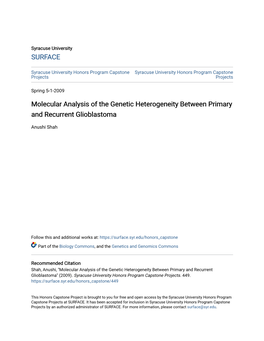 Molecular Analysis of the Genetic Heterogeneity Between Primary and Recurrent Glioblastoma