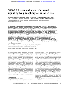 GSK-3 Kinases Enhance Calcineurin Signaling by Phosphorylation of Rcns