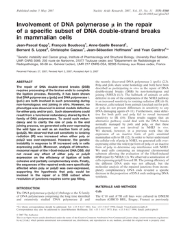 Involvement of DNA Polymerase K in the Repair of a Specific Subset of DNA Double-Strand Breaks in Mammalian Cells