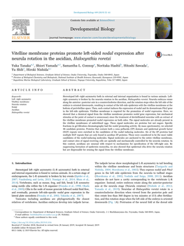 Vitelline Membrane Proteins Promote Left-Sided Nodal Expression After MARK Neurula Rotation in the Ascidian, Halocynthia Roretzi